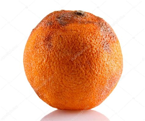 Rotten Orange Isolated On White Stock Photo By ©belchonock 15518203