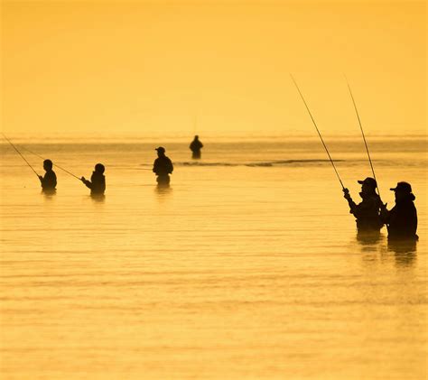 Wallpaper Sunset Sea Silhouette Beach Morning Fishing 1440x1280