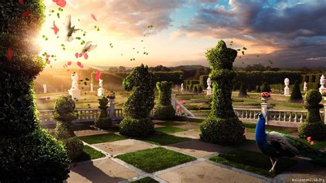 Wallpaper : sunlight, digital art, birds, fantasy art ...