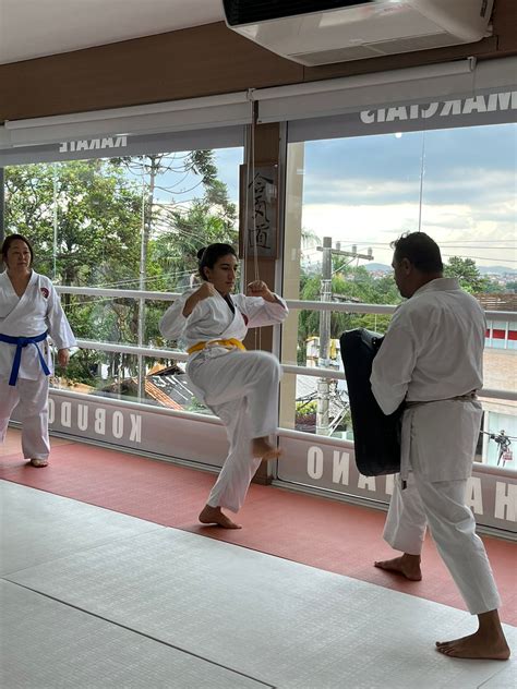 Aula De Karate Feminino Cotia São Paulo Renbukan Brasil