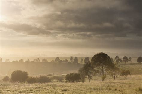 Misty Morning On Yaldara Drive Australian Landscapes Peter Franz