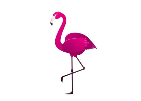 Pink Flamingoa Stylish And Delightful Exotic Bird A Decorative Flat