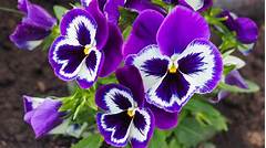 Unbelievable Can You Really Work At Target As A 14 Year Old