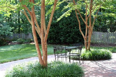 Zed Roam Tips Very Small Ornamental Trees Zone 5 Turfsavers Tree