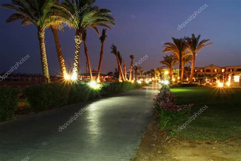 Walk Side Under Palm Trees At Night — Stock Photo © Patrykkosmider