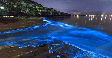 The Beaches Of Vaadhoo Maldives Glow With Bioluminescent Phytoplankton