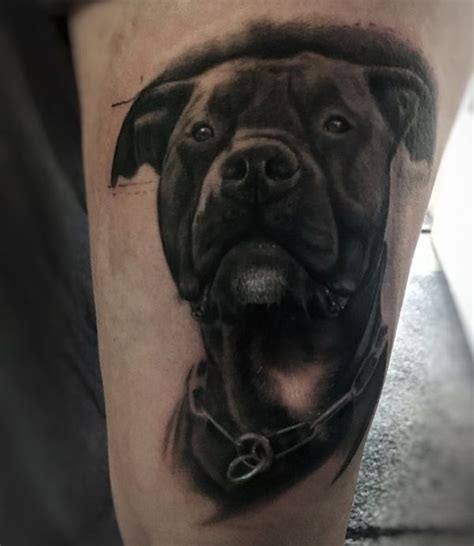 30 Amazing Pitbull Tattoos With Meaning Body Art Guru