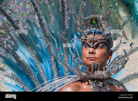 Brazilian Carnival Male Costumes