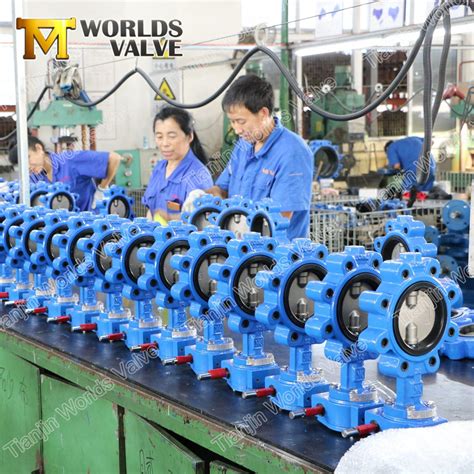 Bare Shaft Worm Gear Lug Type Wafer Butterfly Valves With Wras