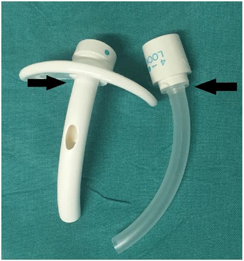 A Pvc Fenestrated Non Cuffed Tracheostomy Tube Similar To The One Which