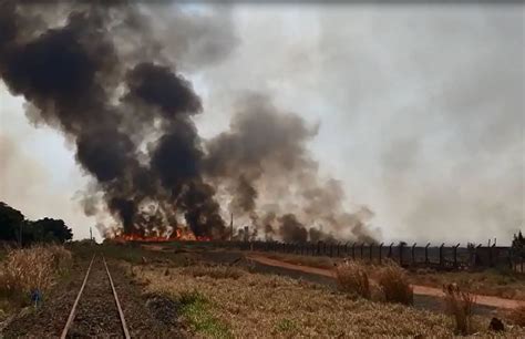 Fumaça de queimada em plantação de cana de açúcar às margens da BR 153