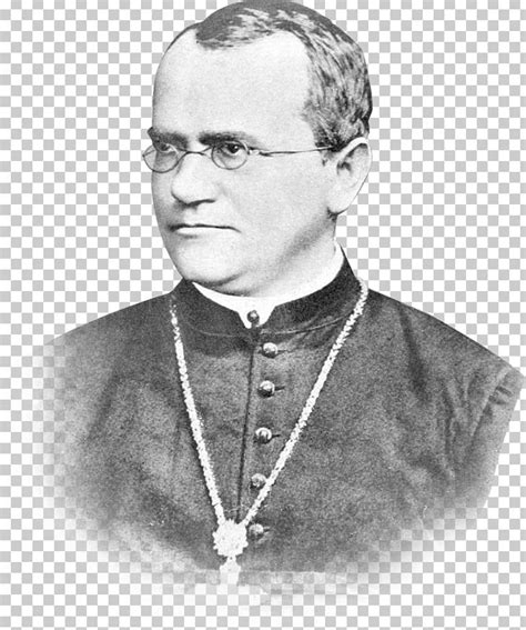 Gregor Mendel St Thomass Abbey Png Clipart Allele Auxiliary Bishop