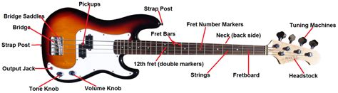 Bass Guitar Lessons Parts Of The Bass Guitar Bass Player Center