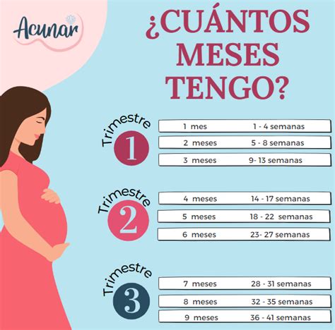 ¿cuántos Meses De Embarazo Tienes Según Tus Semanas Acunar Perinatal