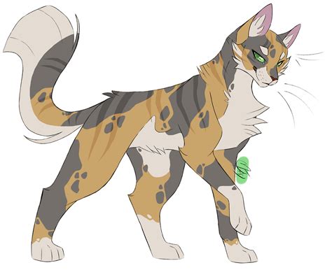 Warrior Cats Characters Female