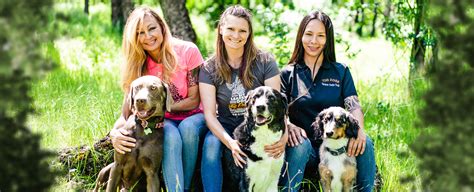 Professional Dog Training Services That Work Tug Dogs Teach Train Tug
