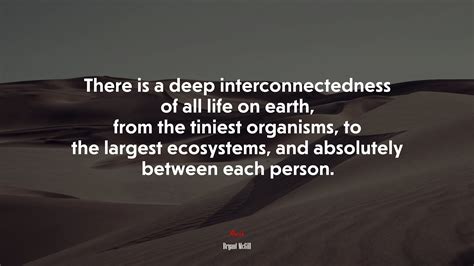 There Is A Deep Interconnectedness Of All Life On Earth From The