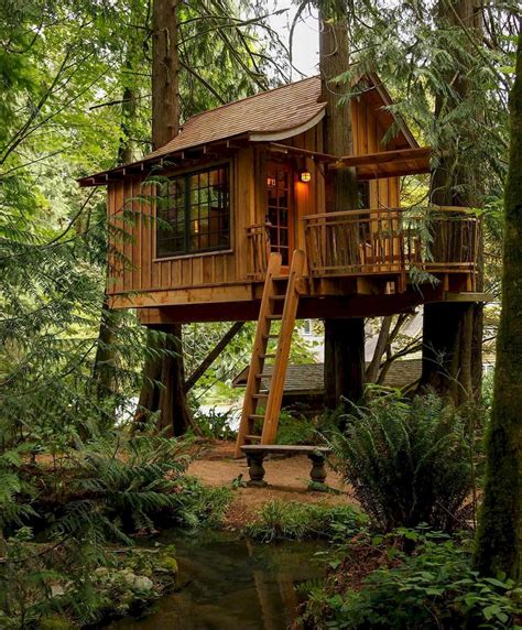 Home Design And Inspiration Tree House Designs Tree