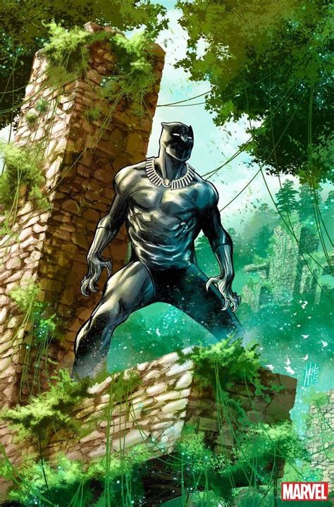 Pin By Yung Otaku 用途が広い On Marvel Black Panther Art Black Panther