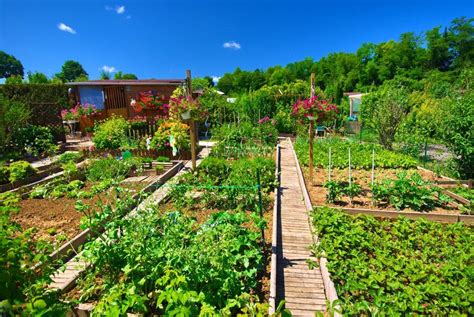 Comment réussir à cultiver son jardin potager en s'amusant