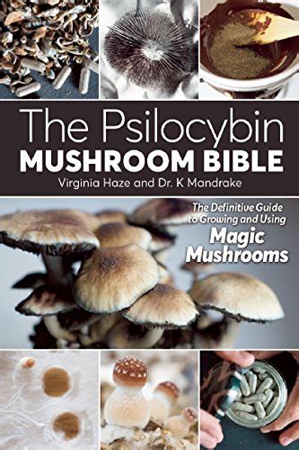 Download The Psilocybin Mushroom Bible The Definitive