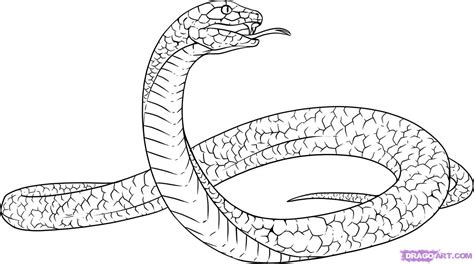 These legless, carnivorous reptiles are found across the globe. How to Draw a Black Mamba, Step by Step, Snakes, Animals ...