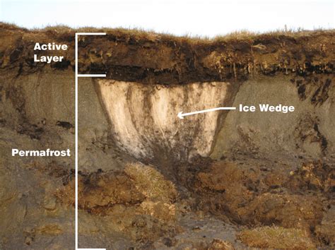 What Is Permafrost Nasa Climate Kids