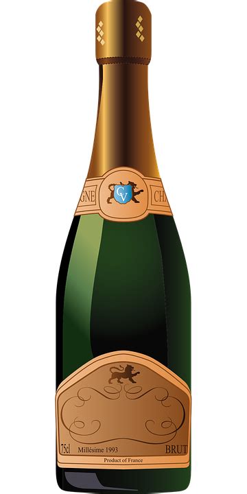 Champagne Bottle Green · Free Vector Graphic On Pixabay