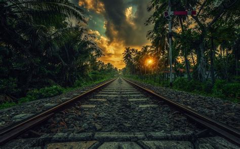 Nature Landscape Railway Sunset Palm Trees Clouds Shrubs Sri Lanka