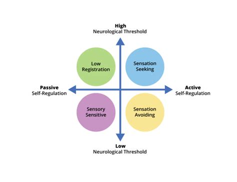 Understanding the Sensory System and Sensory Processing ...