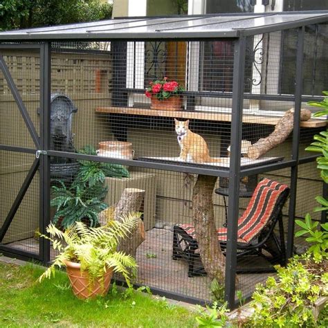 Catios It Cat Patio Outdoor Cat Enclosure Cat Area