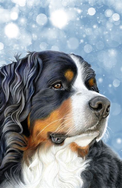 Bernese Mountain Dog Christmas Cards Pack Of 5 Ice Blue Etsy