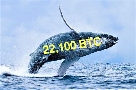 Market cap is a lot less complicated than it sounds. Bitcoin Price Crashes as Whales Are on the Move