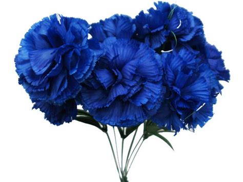 The Blue Carnation Itself May Not Have A Long And Rich History Of