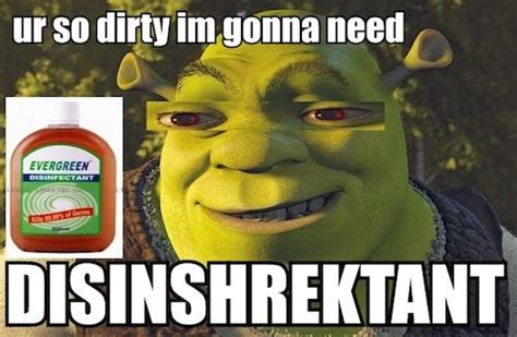 Pin By Jana Guffey On Shrek Shrek Memes Shrek Funny Shrek