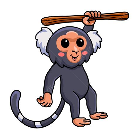 Cute Dibujos Animados Mono Tití Pigmeo Colgando De Un árbol Png Zoo