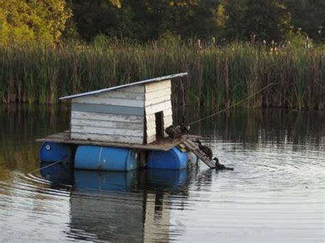 Floating duck house make diy houses floating small pond garden house. Floating Duck Shelters | Tuesday October 25th 2011: | Duck ...