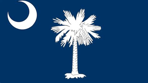 The History And Mystery Of South Carolinas Official Flag Chstoday