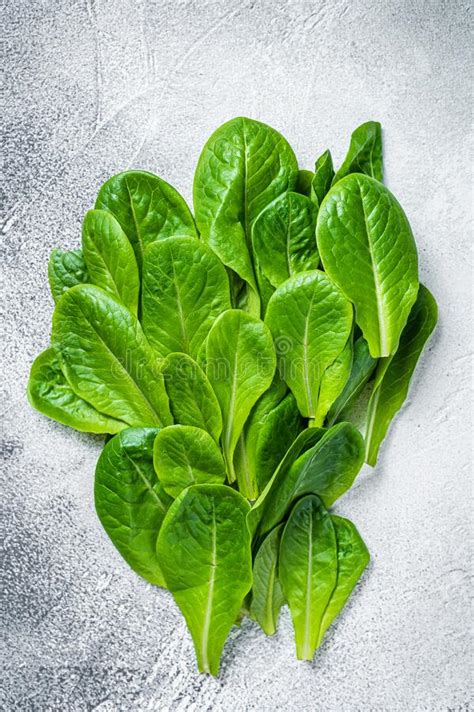 Raw Leaves Of Romaine Lettuce On Kitchen Table White Background Stock