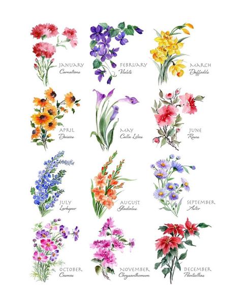 Digital Download Watercolor Floral Paintings Birth Month Flowers