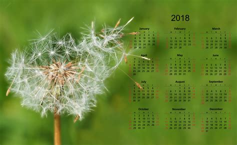 2018 Calendar Dandelion Seeds Free Stock Photo Public Domain Pictures