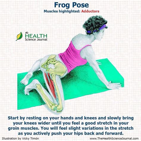 Yoga For The Beginner Frog Pose Yoga Yoga Poses For Beginners Poses
