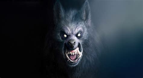 Download Snarl Scary Face Dark Werewolf Hd Wallpaper