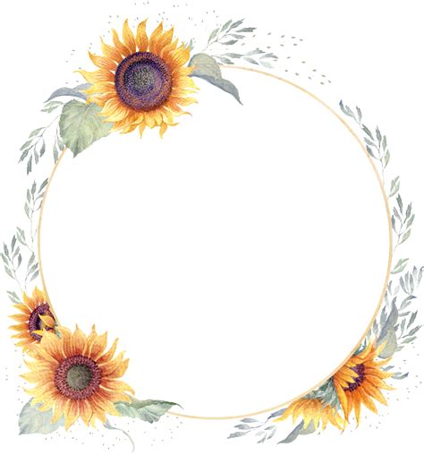 Sunflower Border Png Watercolor Hand Painted Sunflower Transparent