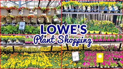 Lowes Garden Center Annuals Perennials Trees Plant Shopping Youtube