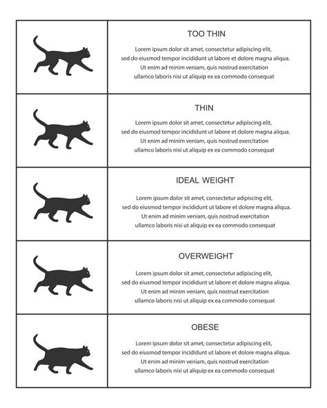 cat weight chart in infographic table kitties silhouettes with normal and abnormal body