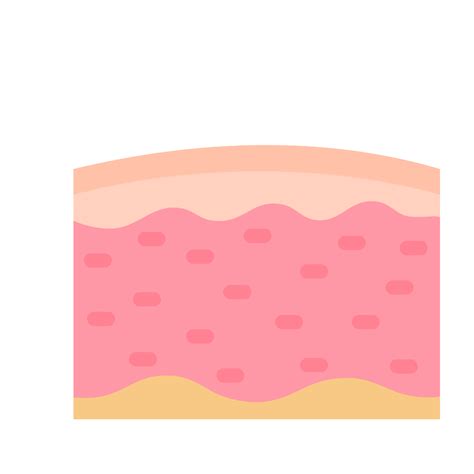 human skin layer Caring for protecting the skin from the sun with a