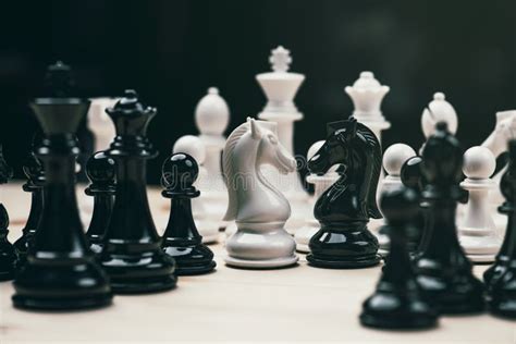 Chess Knights Head To Headblack And White Chess Battlechess Victory