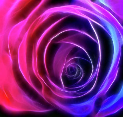 Neon Rose Pinks To Purple Photograph By Lesley Smitheringale