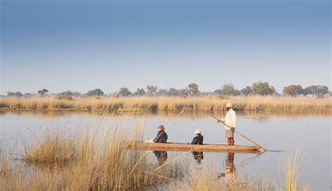 Botswana Uncovered Bench Africa